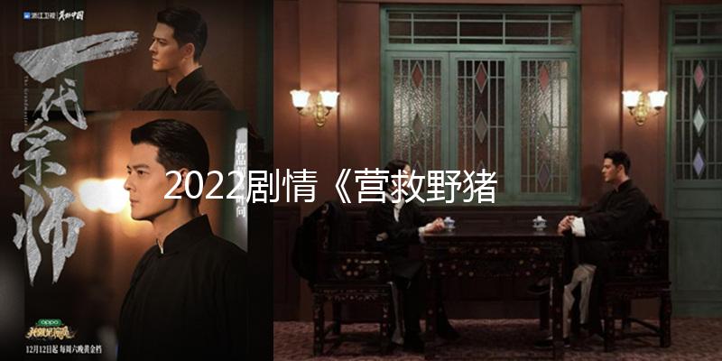 2022剧情《营救野猪队》1080p.BD中英双字